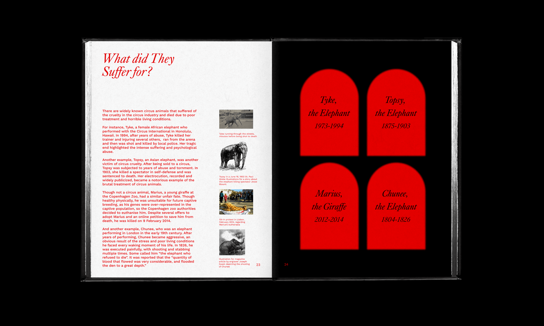 Circus Cruelty Book — image 7