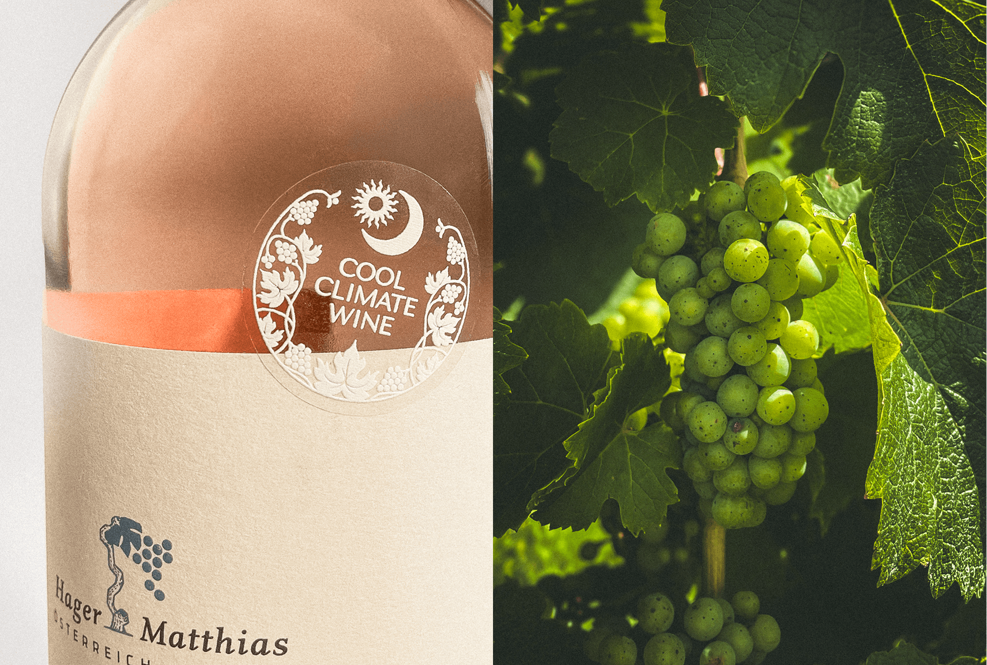 Wine Stickers for Matthias Hager Winery — image 2