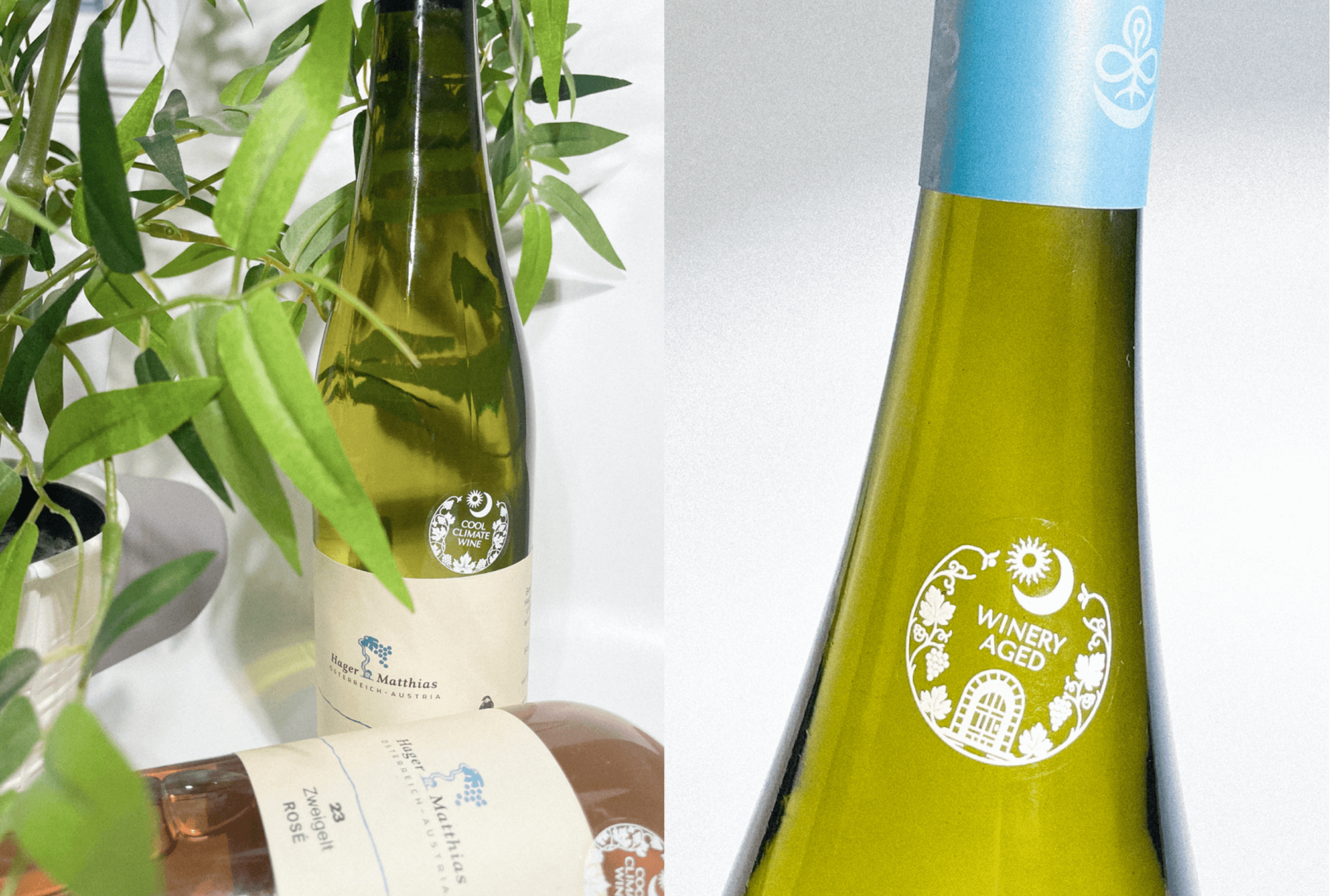 Wine Stickers for Matthias Hager Winery — image 3